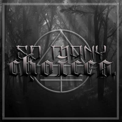 logo So Many Choices